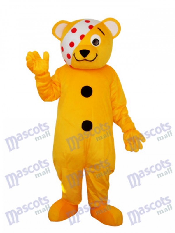 Bear with Eye Patch Mascot Adult Costume