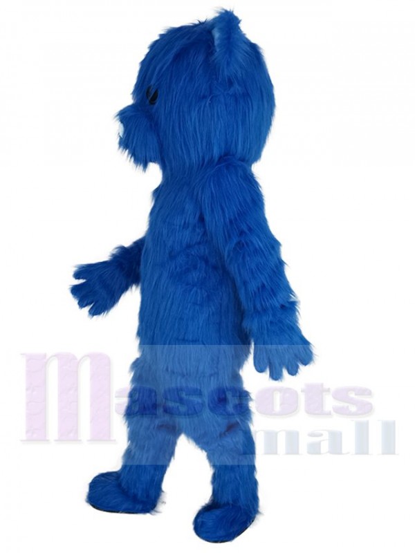 Bear mascot costume