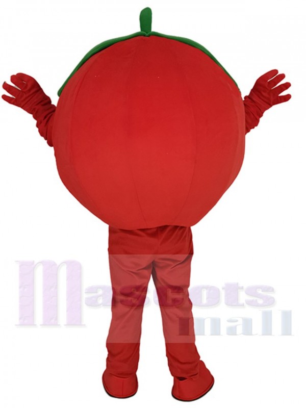 Tomato mascot costume