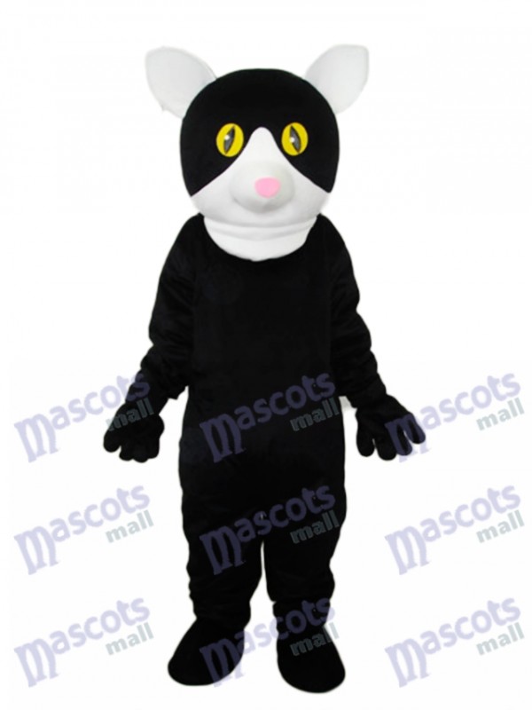 Little Black Cat Mascot Adult Costume