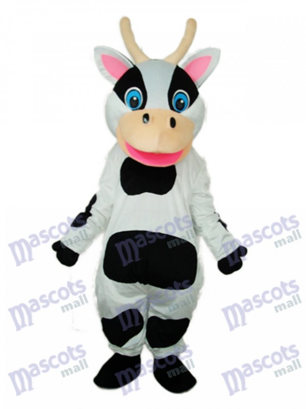 Black Dot Cow Mascot Adult Costume