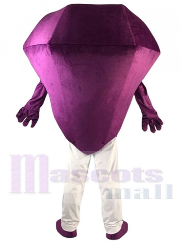 Diamond mascot costume