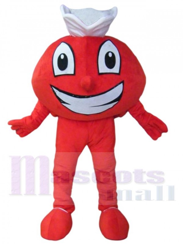 Aircraft mascot costume