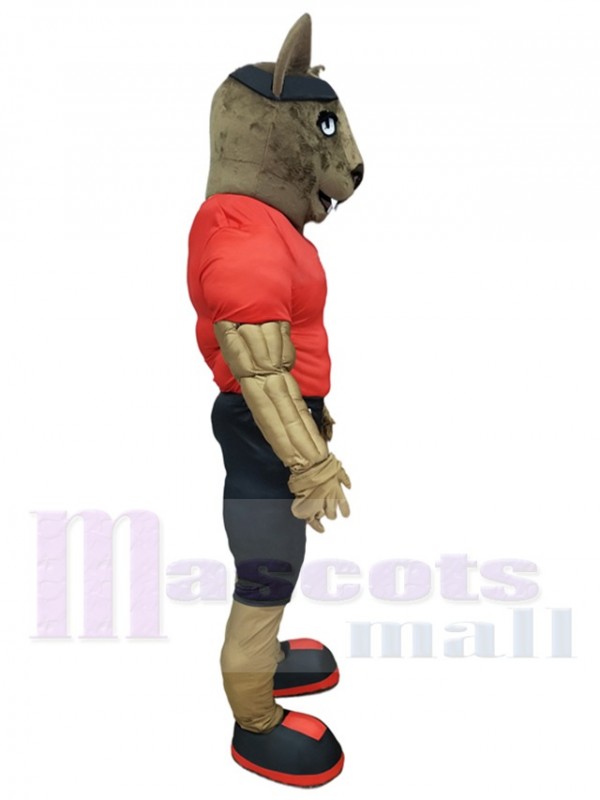 Wolf mascot costume