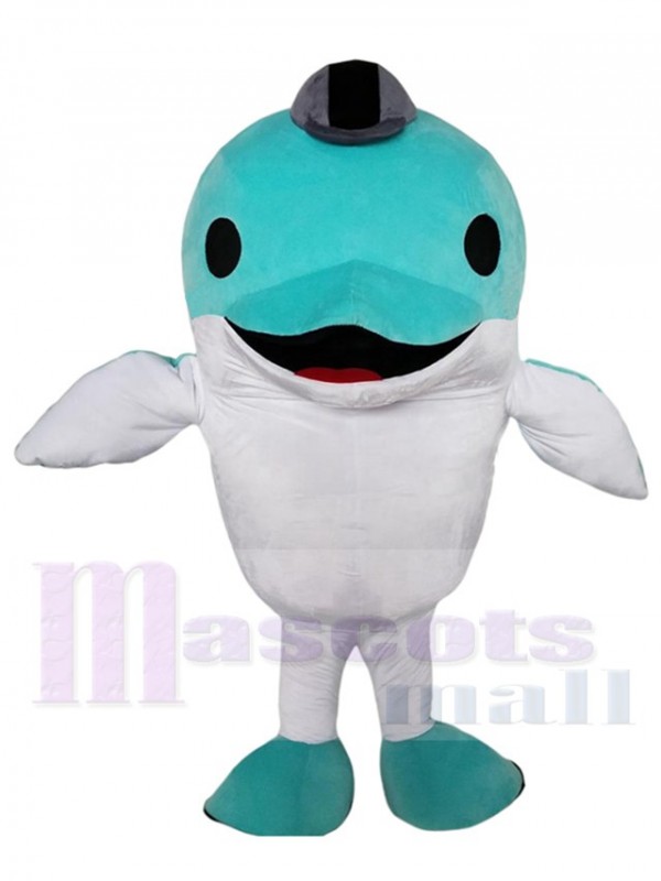 Dolphin mascot costume