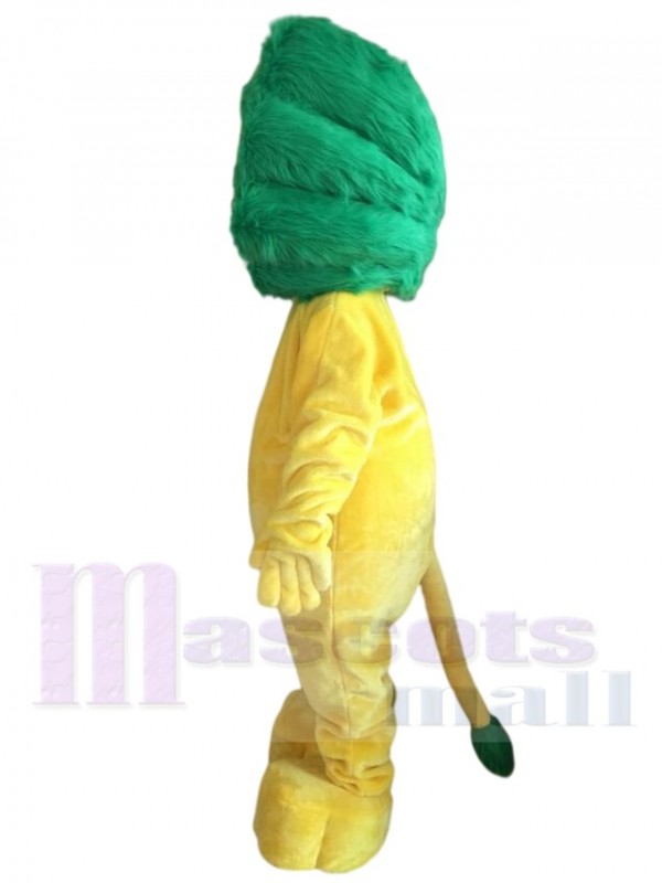 Lion mascot costume