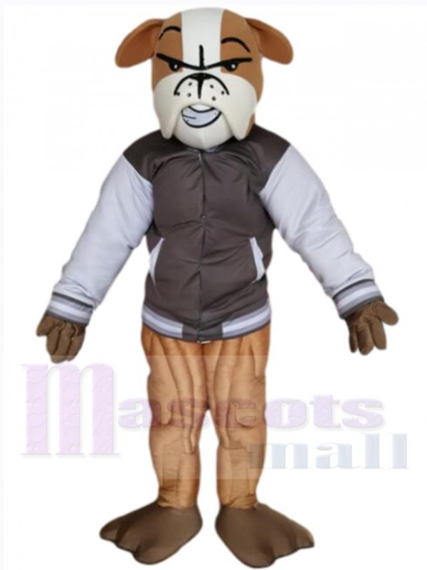 Bulldog mascot costume