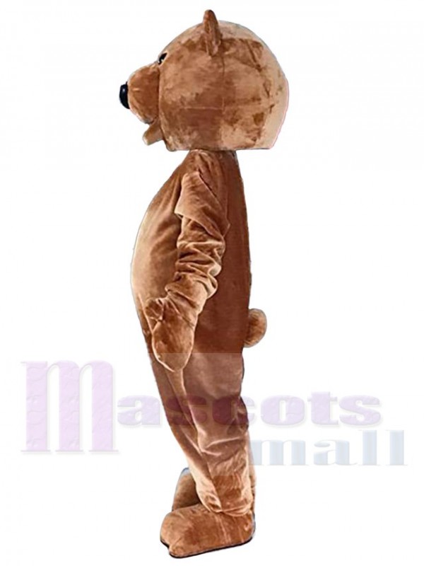 Bear mascot costume
