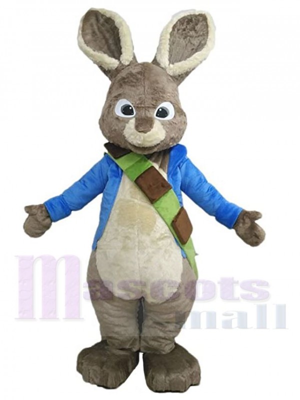 Easter Bunny Rabbit mascot costume