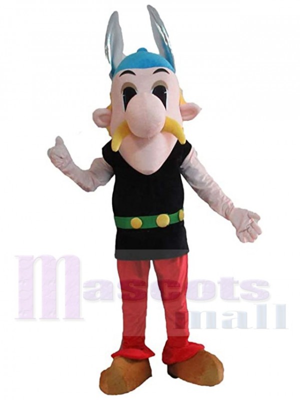 Asterix Obelix mascot costume