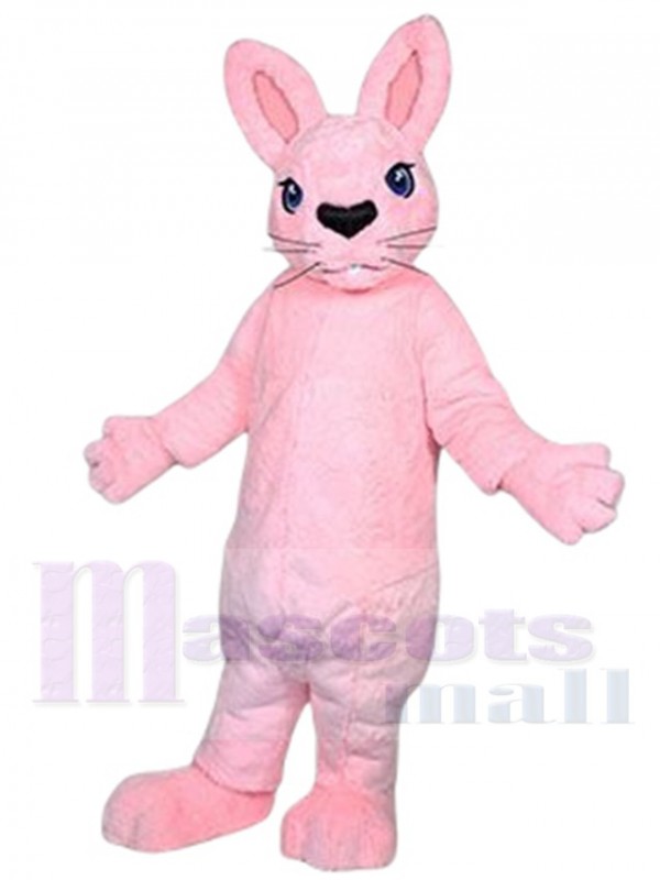 Bunny Rabbit mascot costume