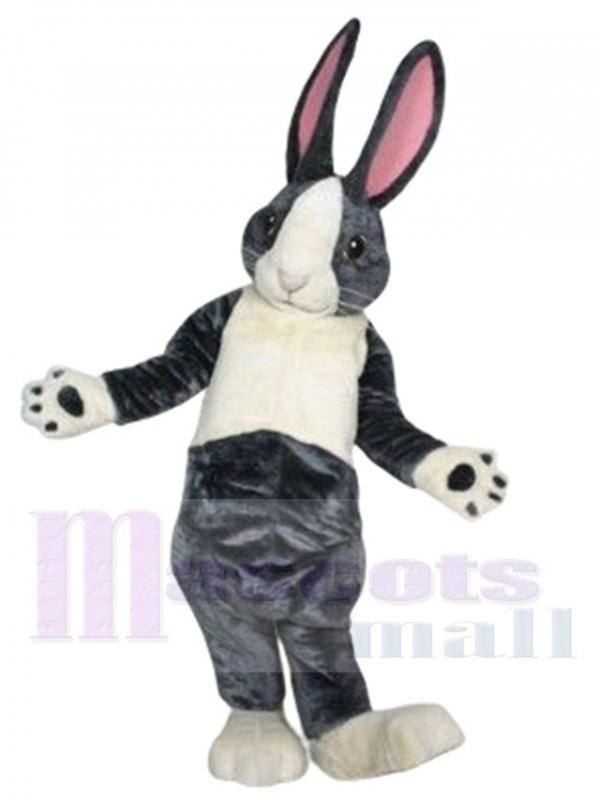 Bunny Rabbit mascot costume