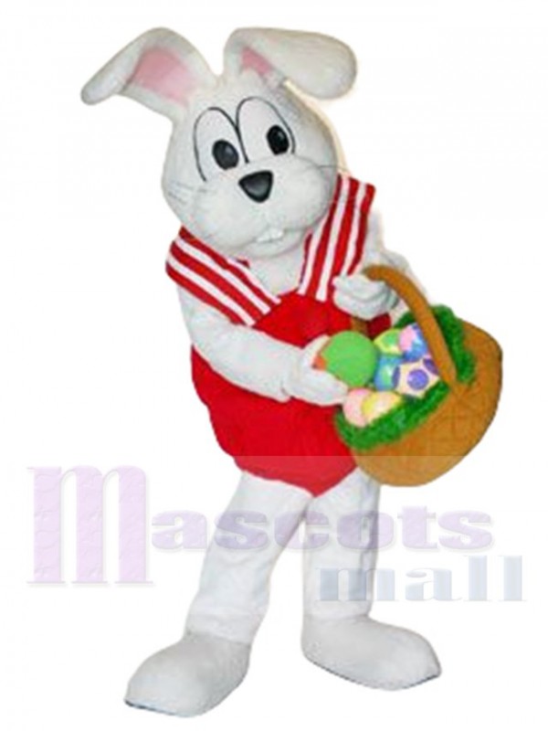 Peter Cottontail Rabbit mascot costume