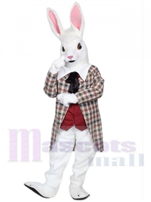 Rabbit mascot costume
