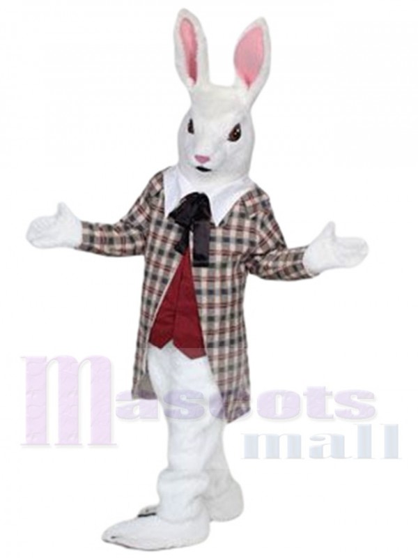 Rabbit mascot costume