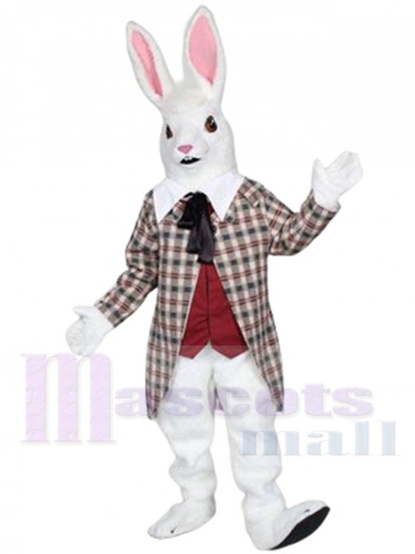 Rabbit mascot costume