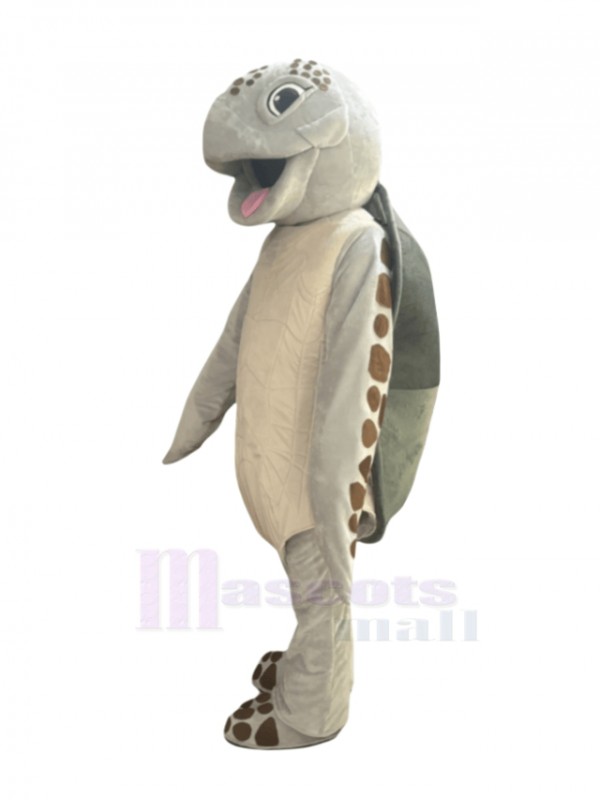 Turtle mascot costume