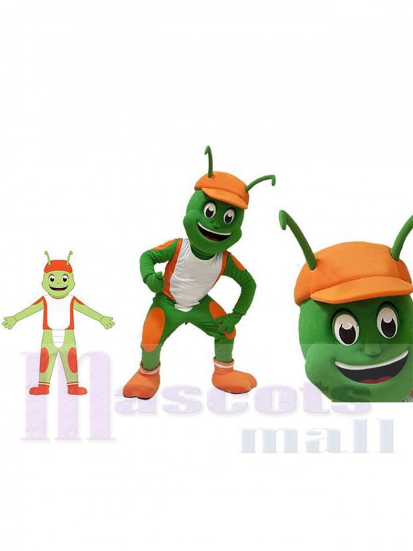Insect mascot costume