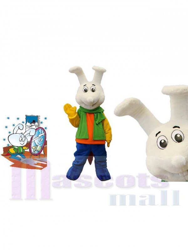 Bunny Rabbit mascot costume
