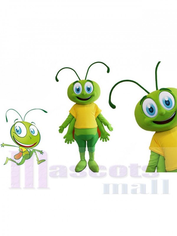 Bee mascot costume
