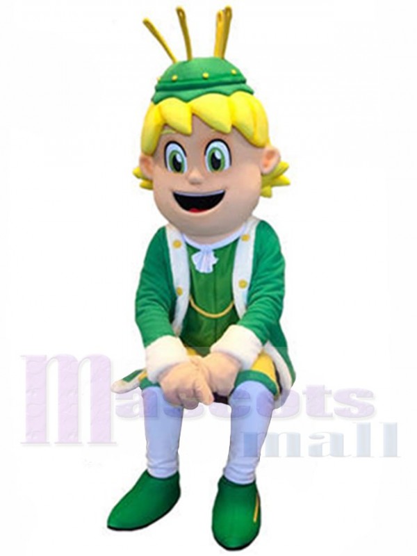 Boy mascot costume