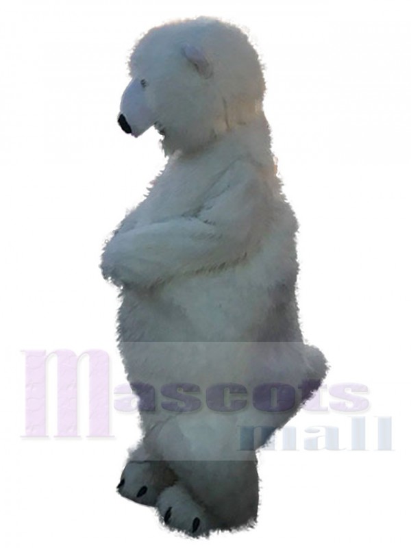 Polar Bear mascot costume