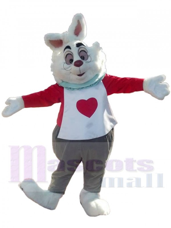 Rabbit mascot costume