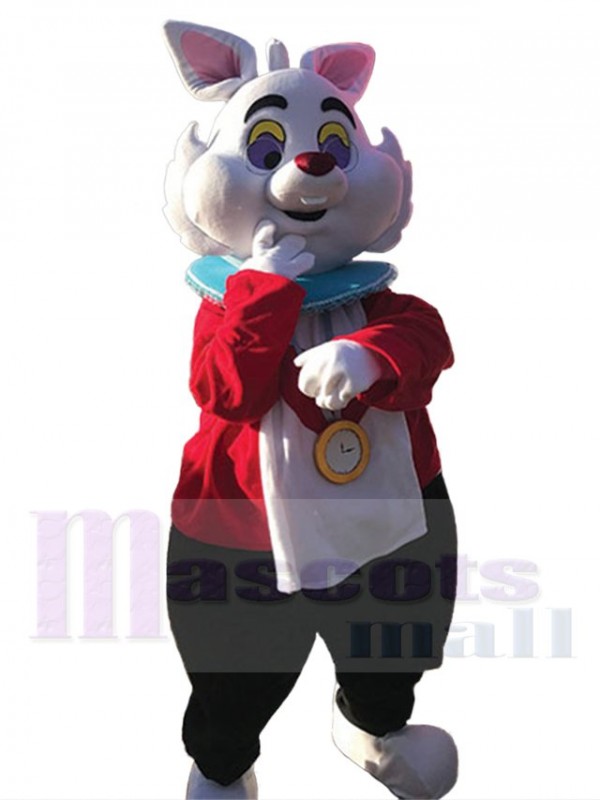 Rabbit mascot costume