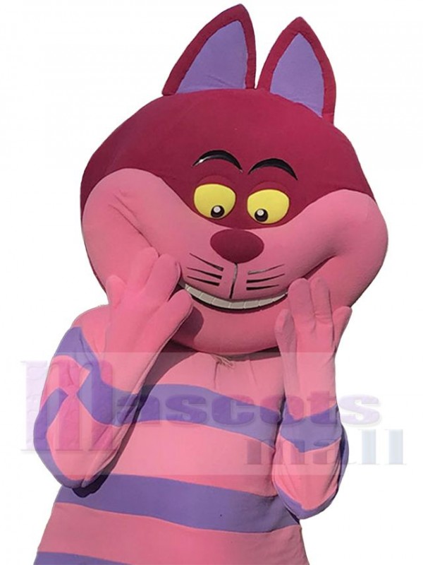 Cheshire Cat mascot costume