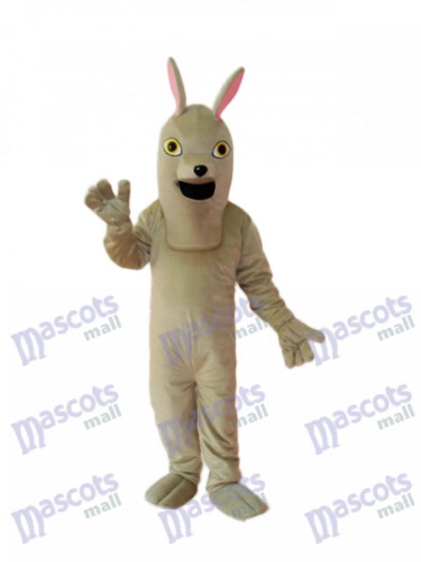 Old Hound Dog Mascot Adult Costume
