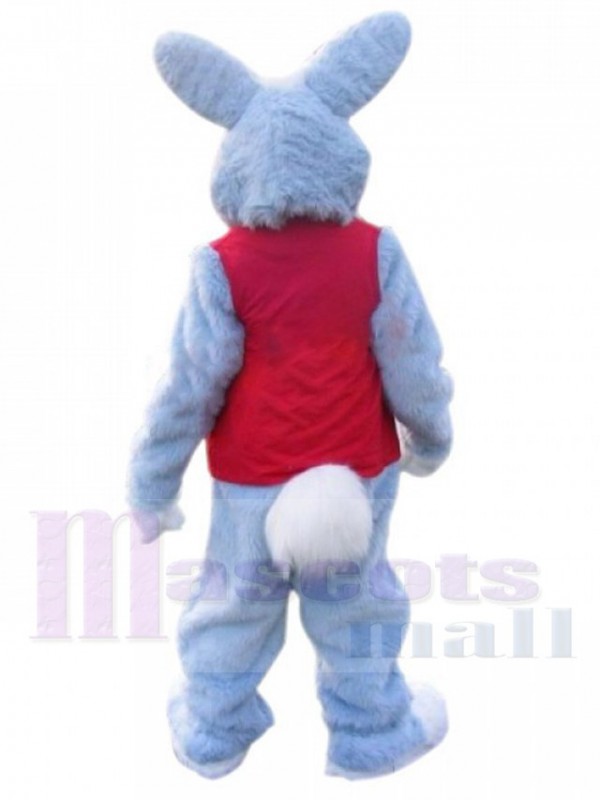 Easter Bunny Rabbit mascot costume