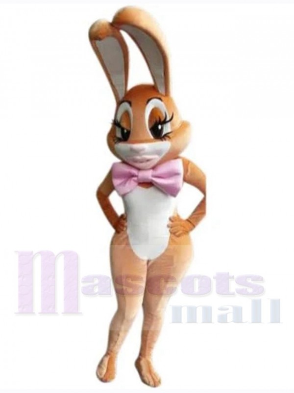 Easter Bunny Rabbit mascot costume