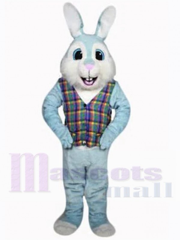 Easter Bunny Rabbit mascot costume