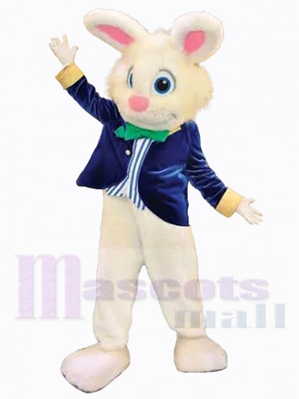 Easter Bunny Rabbit mascot costume