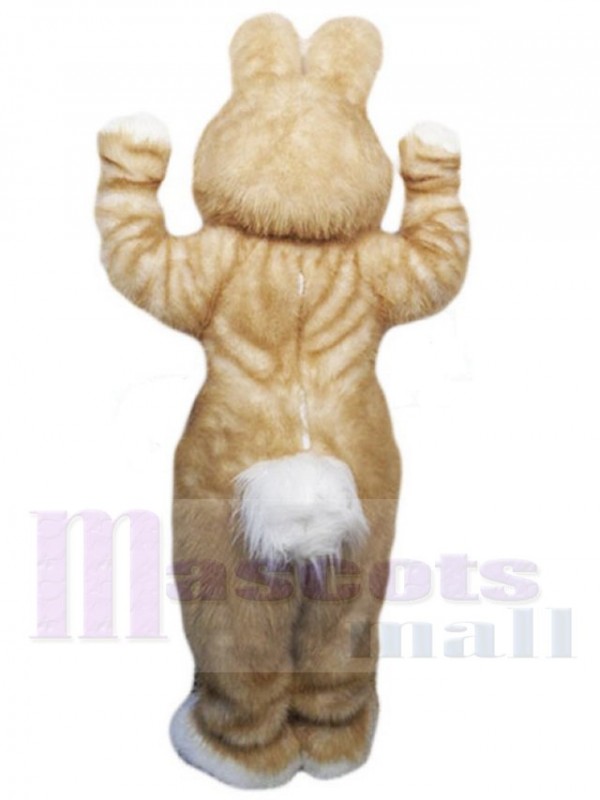 Easter Bunny Rabbit mascot costume
