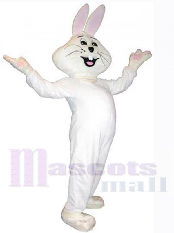 Easter Bunny Rabbit mascot costume