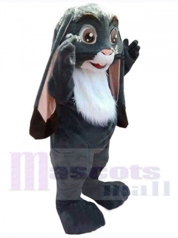 Easter Bunny Rabbit mascot costume