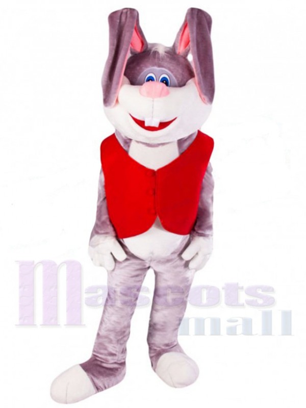 Easter Bunny Rabbit mascot costume