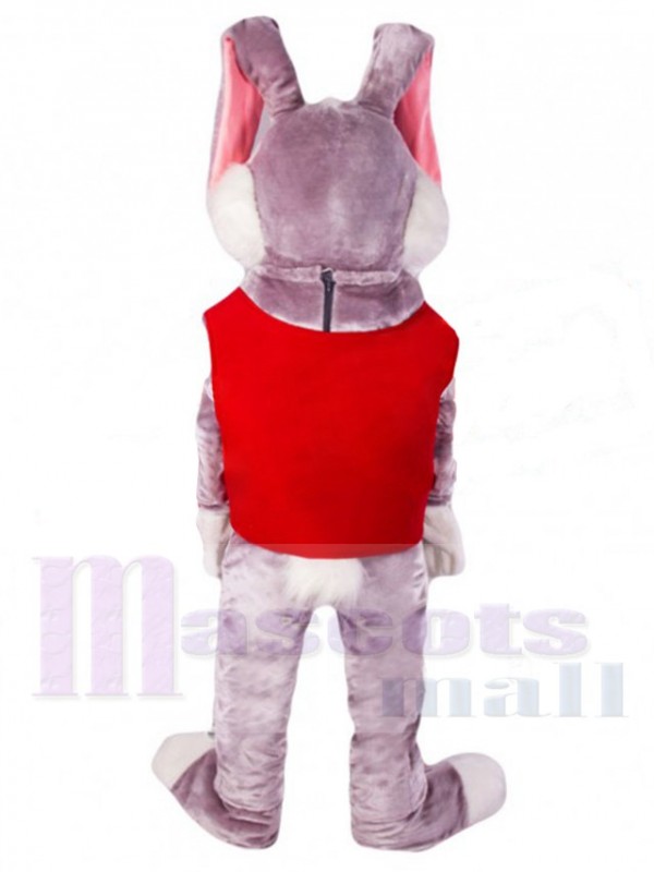 Easter Bunny Rabbit mascot costume