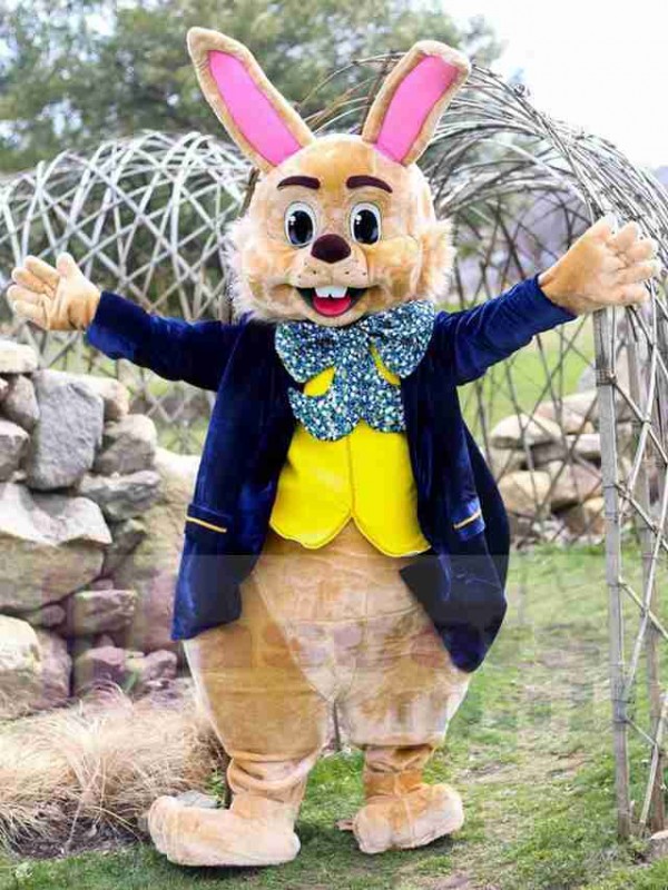 Easter Bunny Rabbit mascot costume