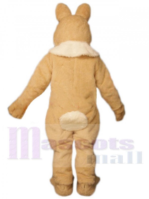 Easter Bunny Rabbit mascot costume