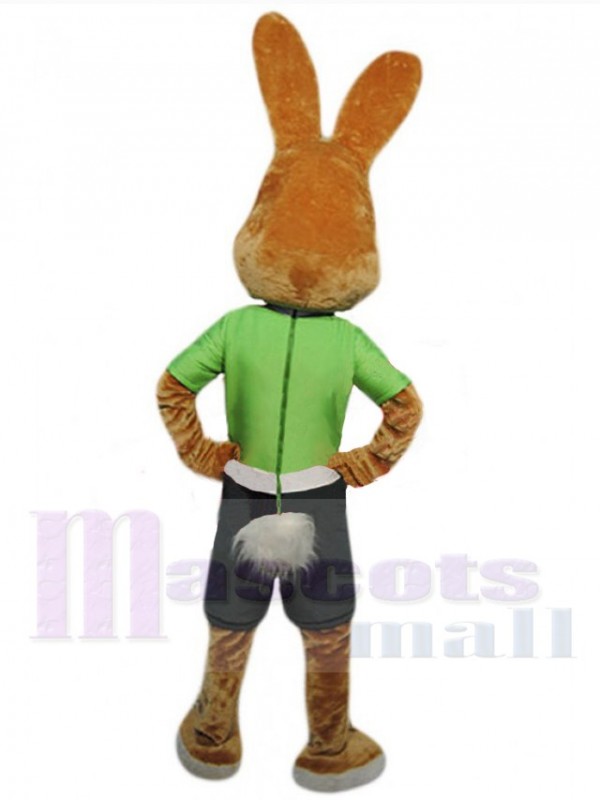 Easter Bunny Rabbit mascot costume