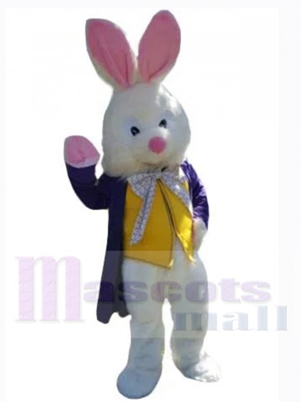 Easter Bunny Rabbit mascot costume