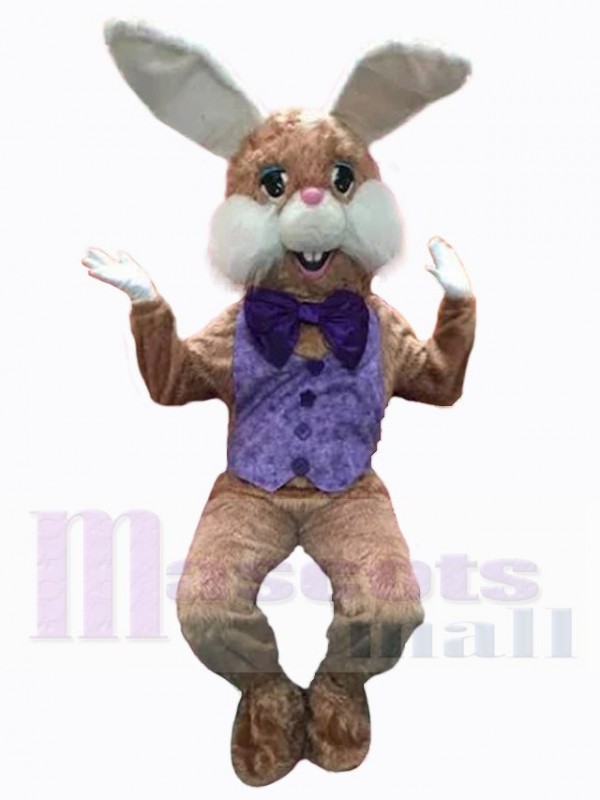 Easter Bunny Rabbit mascot costume