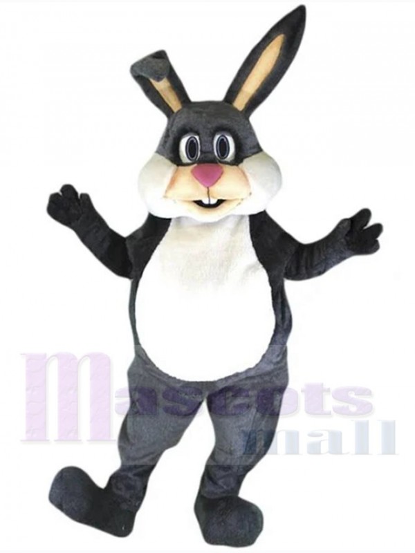 Easter Bunny Rabbit mascot costume
