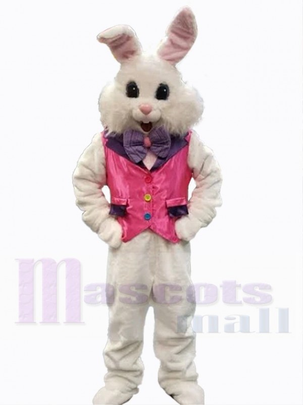 Easter Bunny Rabbit mascot costume