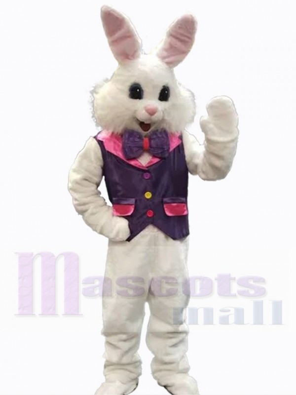 Easter Bunny Rabbit mascot costume