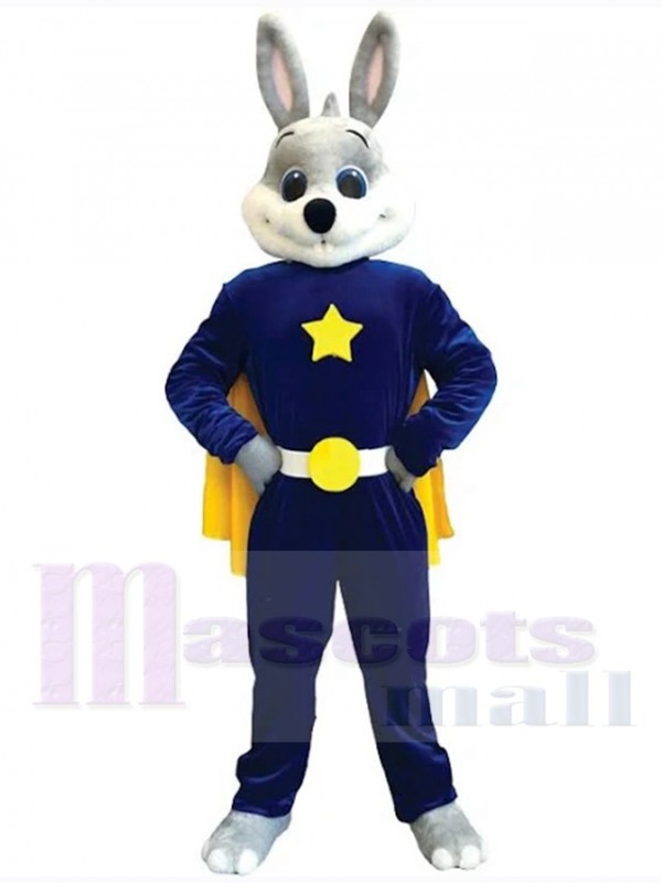 Easter Bunny Rabbit mascot costume
