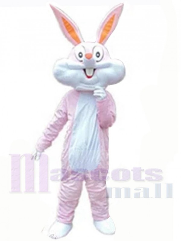 Easter Bunny Rabbit mascot costume