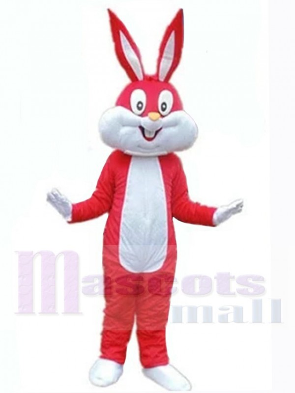Easter Bunny Rabbit mascot costume